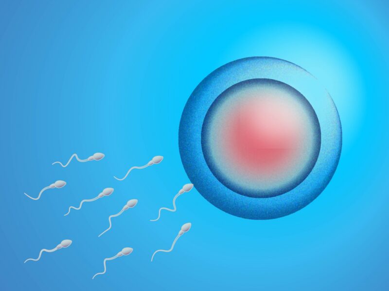 同性カップルの精子提供、よくある悩みと解決へのヒント