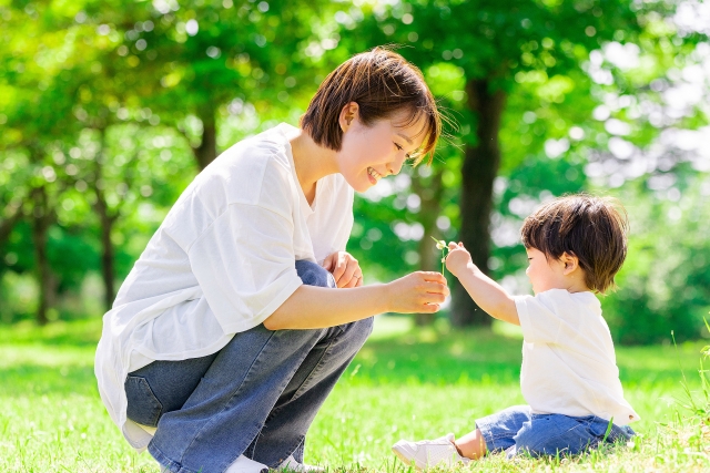 精子提供の費用｜2026年の保険適用・自費治療の境目を整理