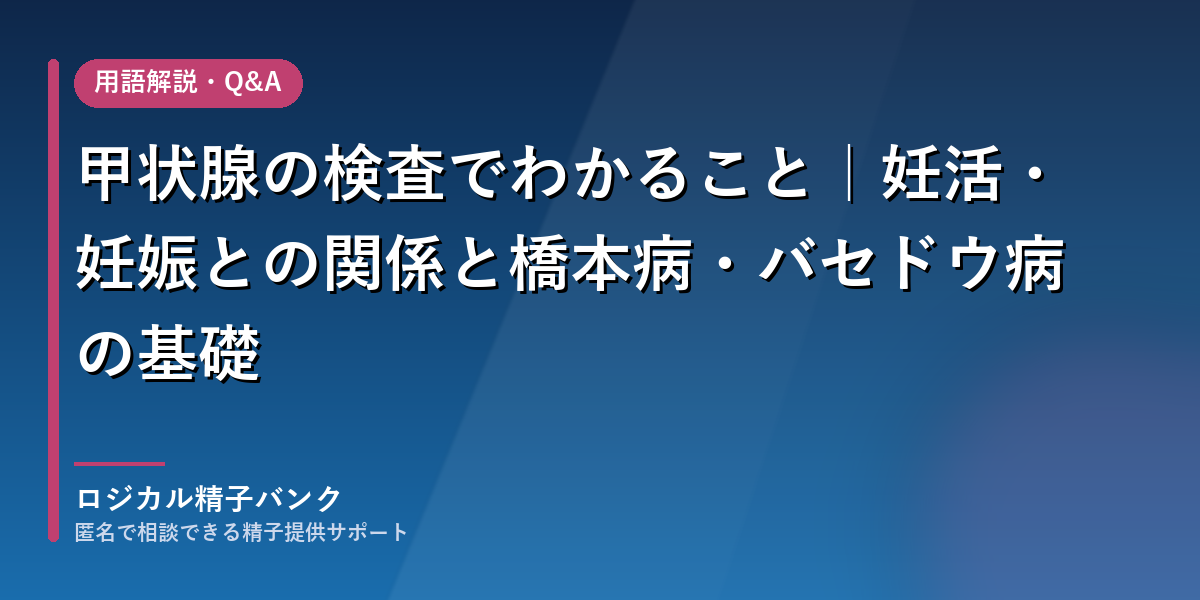 甲状腺の検査でわかること(TSH・FT4)と妊活・妊娠との関係を解説する記事のアイキャッチ画像